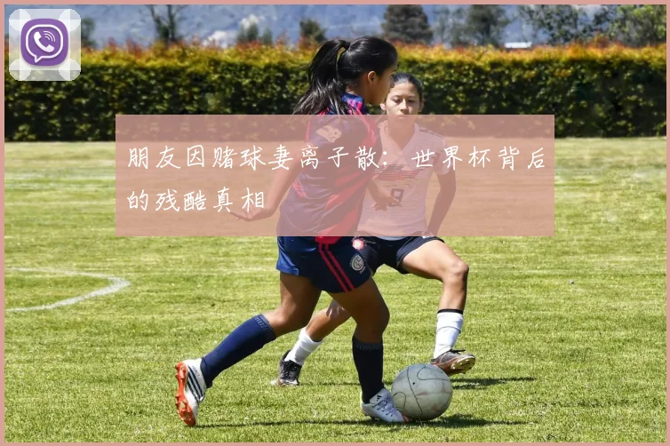 朋友因赌球妻离子散：世界杯背后的残酷真相
